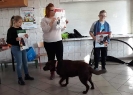 Zajęcia z dogoterapii